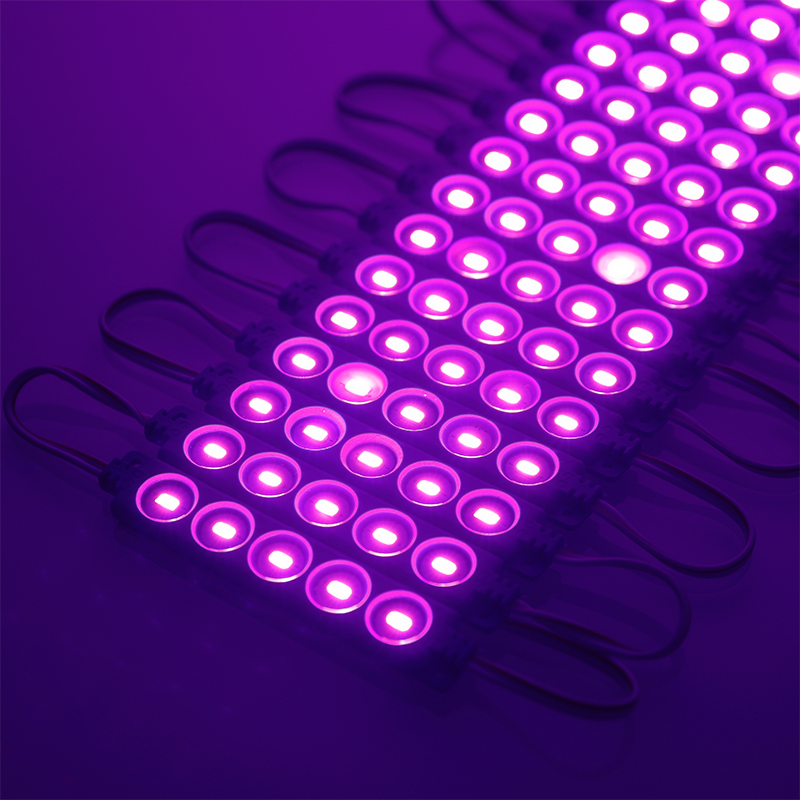 Purple LED Modules DC24V 1.2W 5Chip Full Color Light LED Modules MD390picture2