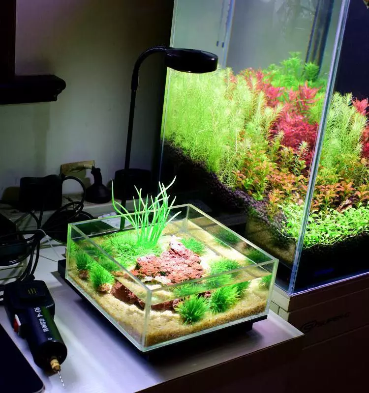 Bamboo Board Freshwater Fish Tank Lamp Vivarium Terrarium Light LED Aquarium Light AQL330picture5