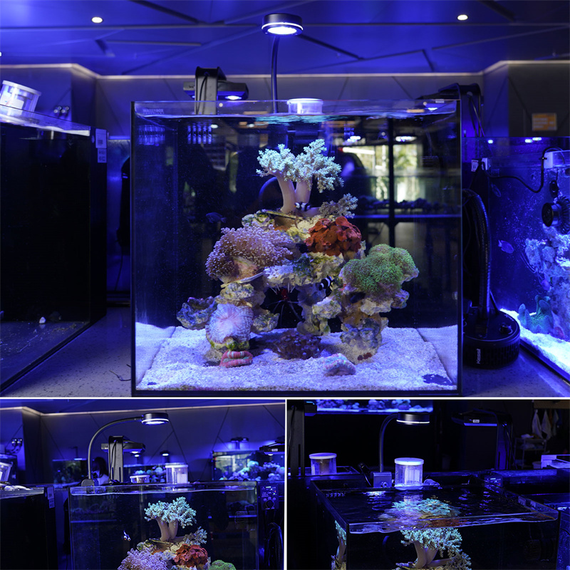 Stylish Seawater Ocean Coral Reef 3 Color LED Light Clip-on Aquarium Lights AQL350picture2