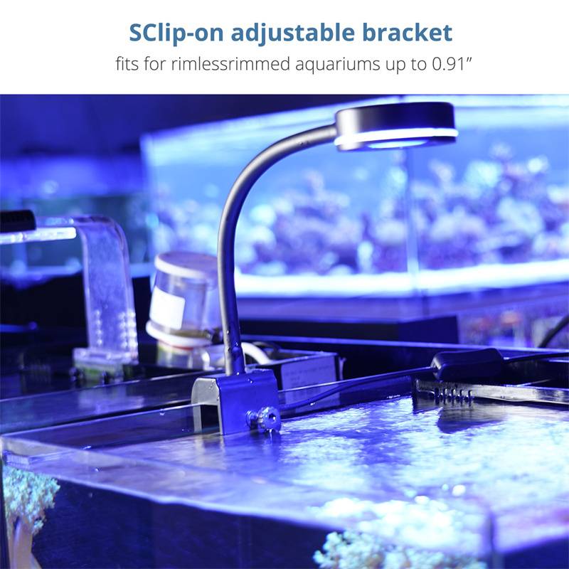 Stylish Seawater Ocean Coral Reef 3 Color LED Light Clip-on Aquarium Lights AQL350picture3