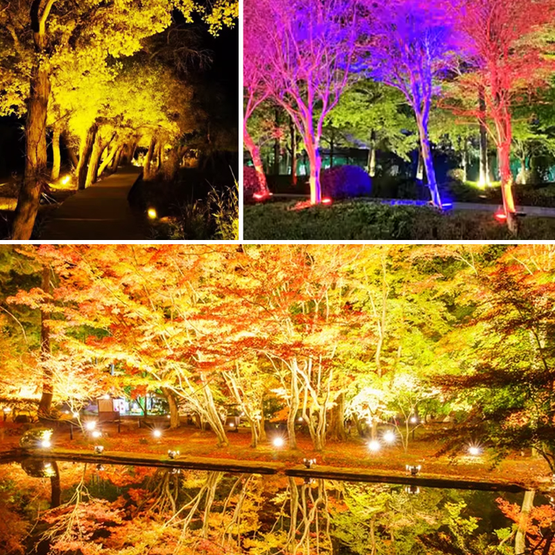 Football & Baseball Aluminum IP65 Waterproof36W Landscape LED Floodlight LSP730picture6