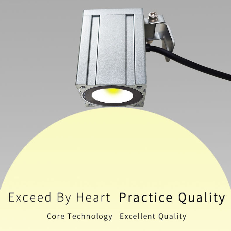 DC24V Outdoor IP65 3W/6W/9W/12W for Architecture & Building LED Wall Light WL6220picture2