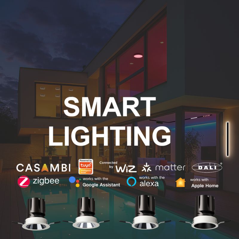 Aesthetic Recessed Ceiling LED Spotlight Smart System Downlight DL2520picture6