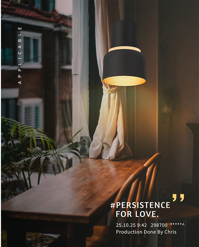 American Loft Style Black Wrought Iron Chandelier for Restaurant NAS170picture4