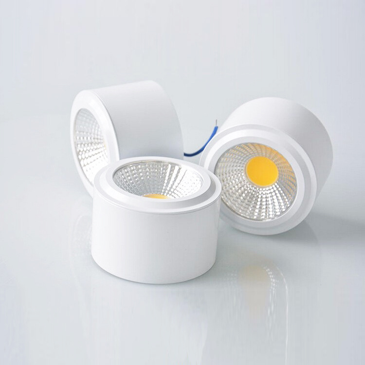 10W Spotlight Accessories Round Housing Cylinder LED Downlight DL2510picture2