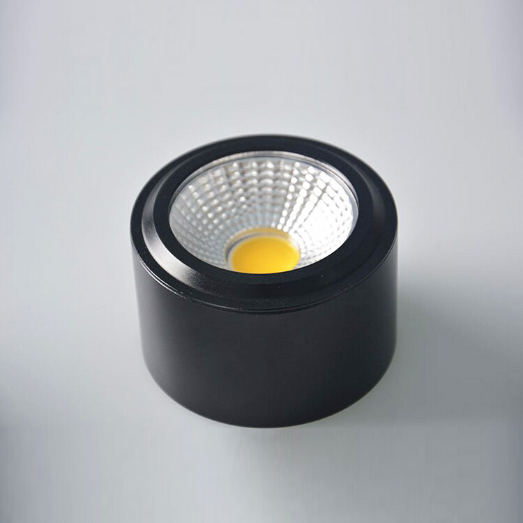 10W Spotlight Accessories Round Housing Cylinder LED Downlight DL2510picture3