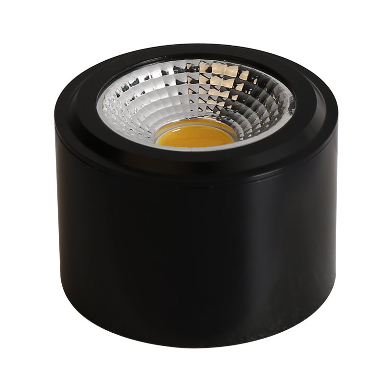 10W Spotlight Accessories Round Housing Cylinder LED Downlight DL2510picture5