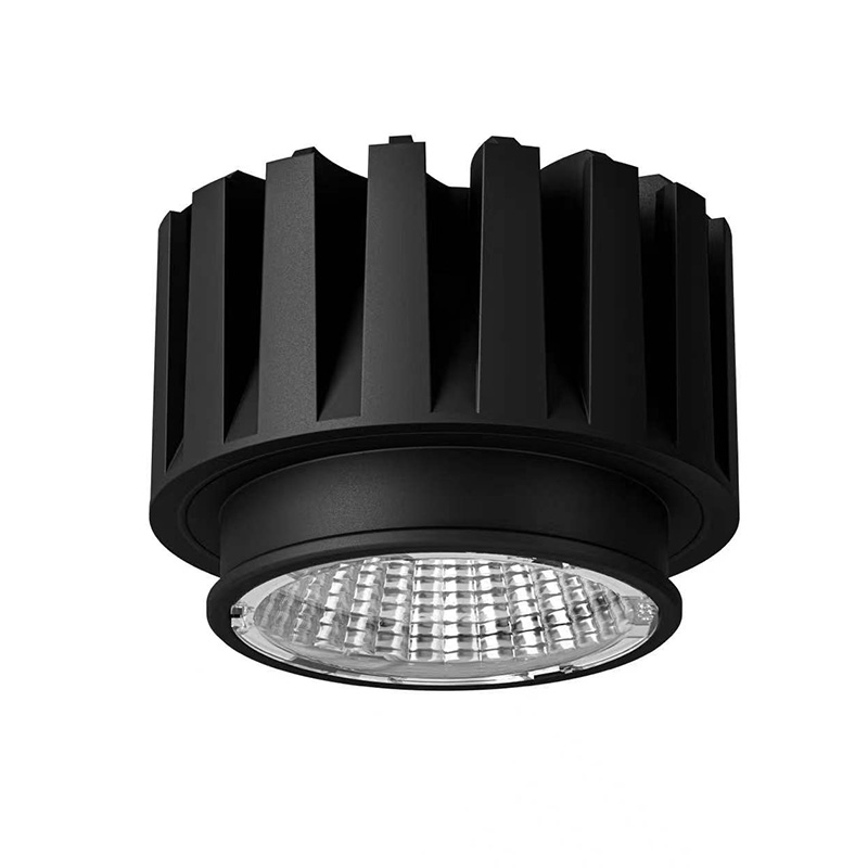 Double-Headed Square MR16 Downlight DL2430picture5