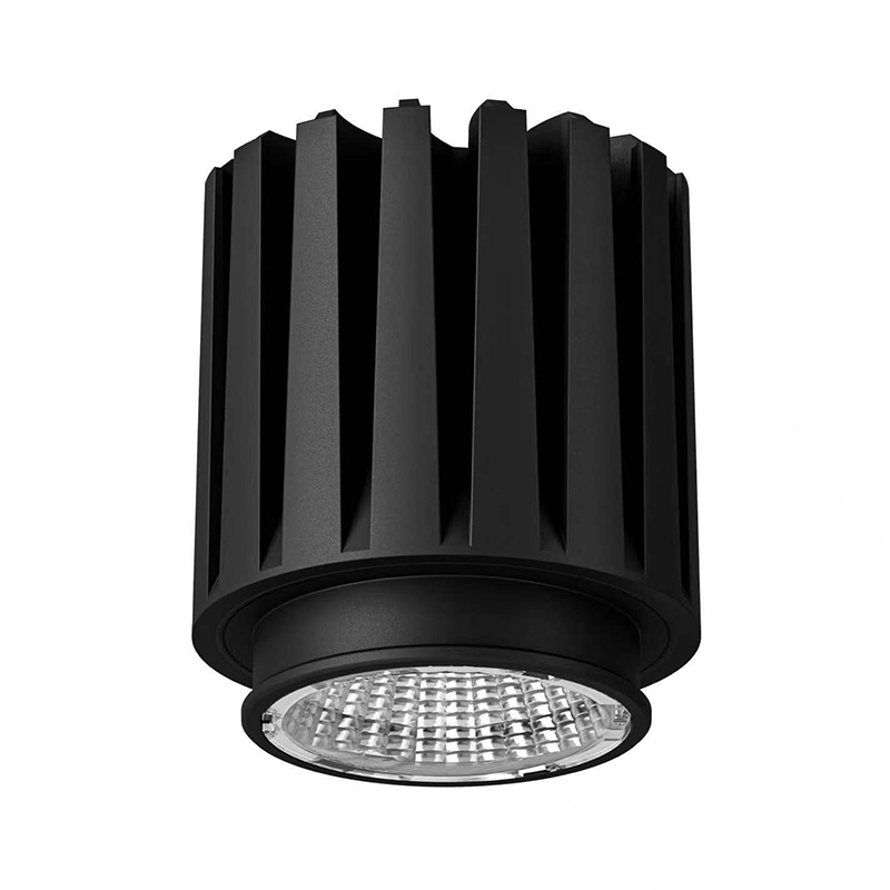 Double-Headed Square MR16 Downlight DL2430picture6