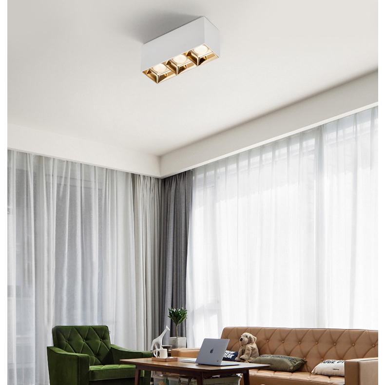 Double Head Three Head COB Indoor Hotel Showroom 7W 10W 15W LED Downlight DL2380picture5