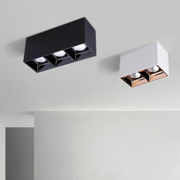 Double Head Three Head COB Indoor Hotel Showroom 7W 10W 15W LED Downlight DL2380picture6