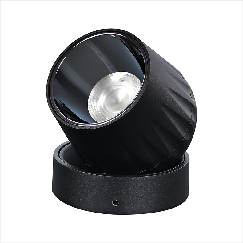 7W 10W Hotel Home Adjustable 360° Rotating Ceiling LED Downlight DL2370picture4