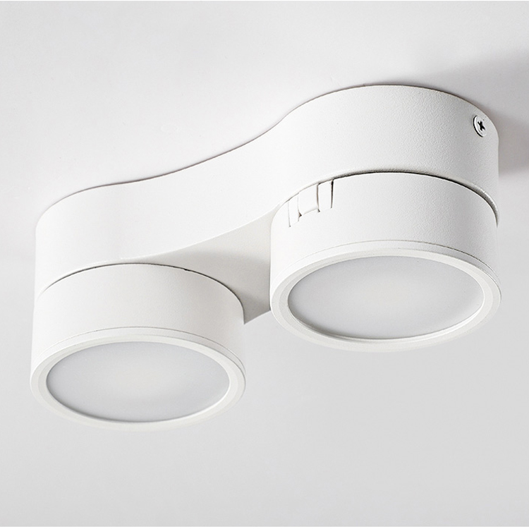 Nordic Adjustable Black White Single Double Head Ceiling Downlight DL2360picture3