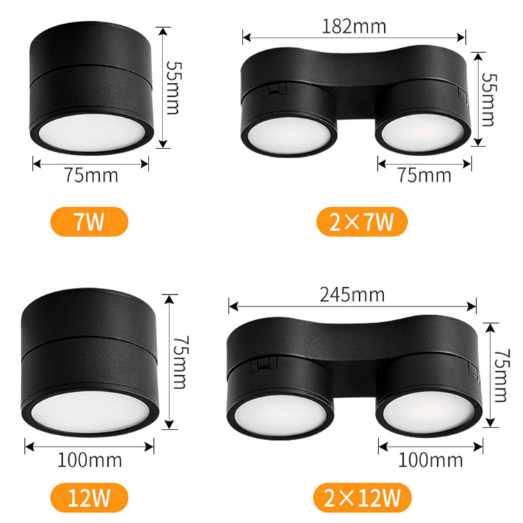 Nordic Adjustable Black White Single Double Head Ceiling Downlight DL2360picture4