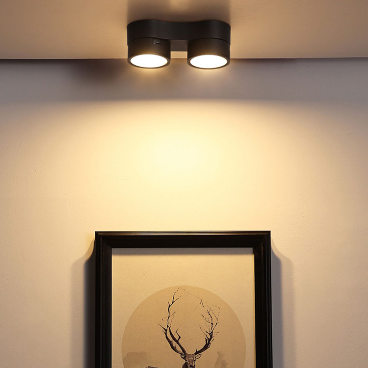 Nordic Adjustable Black White Single Double Head Ceiling Downlight DL2360picture5