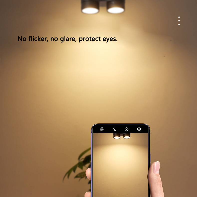 Nordic Adjustable Black White Single Double Head Ceiling Downlight DL2360picture6