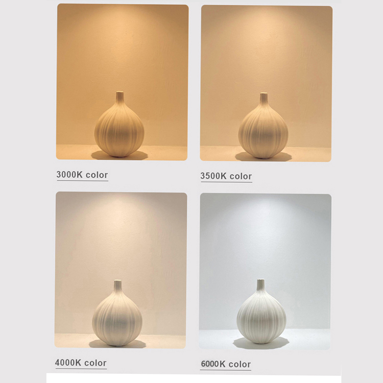 Bedroom Restaurant Clothing Store Adjustable Rotatable LED Downlight DL2350picture5