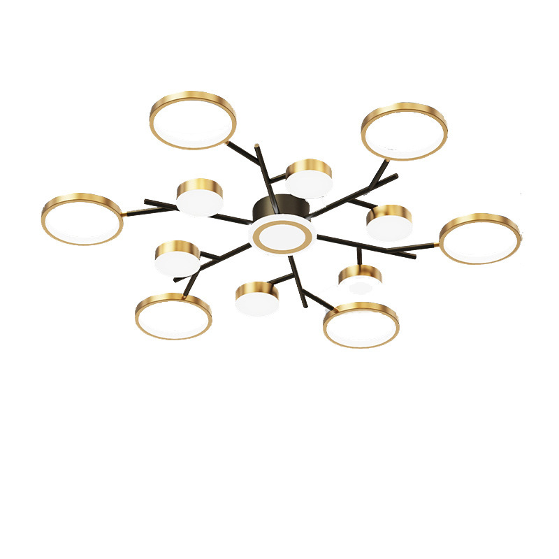 Nordic Modern Creative Indoor Golden Home Decorative Ceiling Lights CL1220