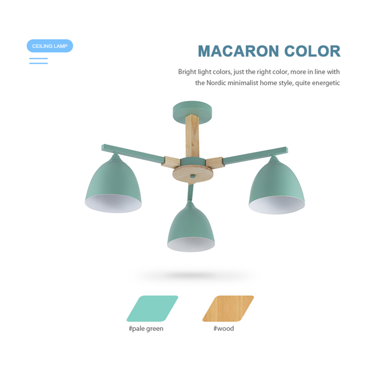 Creative Modern Green Lampshade Indoor Iron Led Ceiling Light CL1150picture2