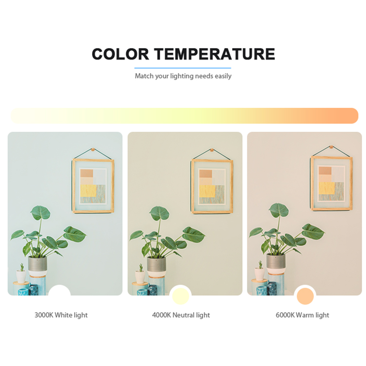 High Bright Indoor Hanging Ceiling LED Pendant Ceiling Light CL1130picture3