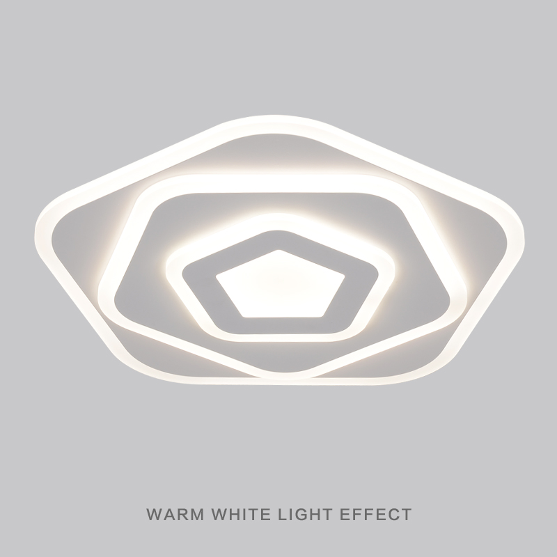 Contemporary Acrylic Flower Modern Bedroom Luxury Decorative LED Ceiling Light CL1120picture3