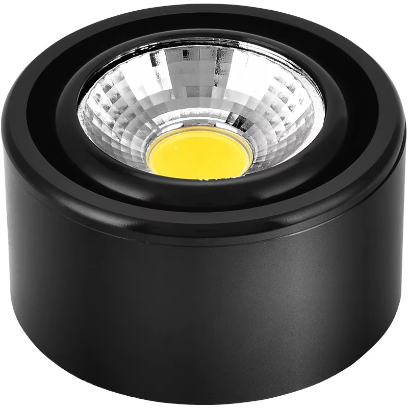 Surface Mounted Spotlights Ceiling Mounted Down Lights DL2310picture2