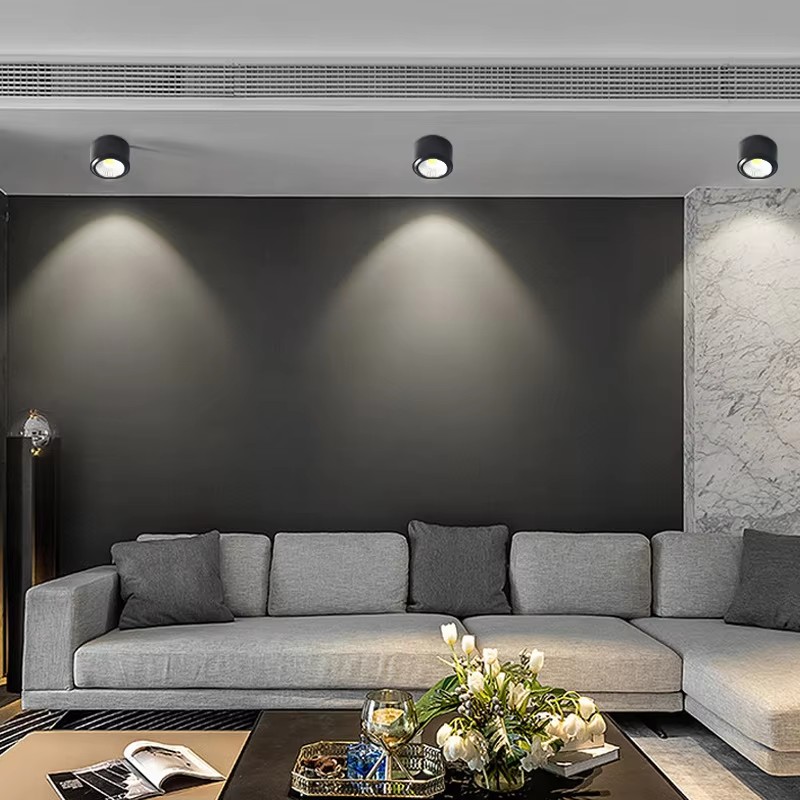 Surface Mounted Spotlights Ceiling Mounted Down Lights DL2310picture3