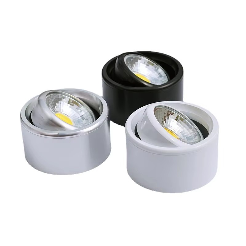 Surface Mounted Spotlights Ceiling Mounted Down Lights DL2310picture5