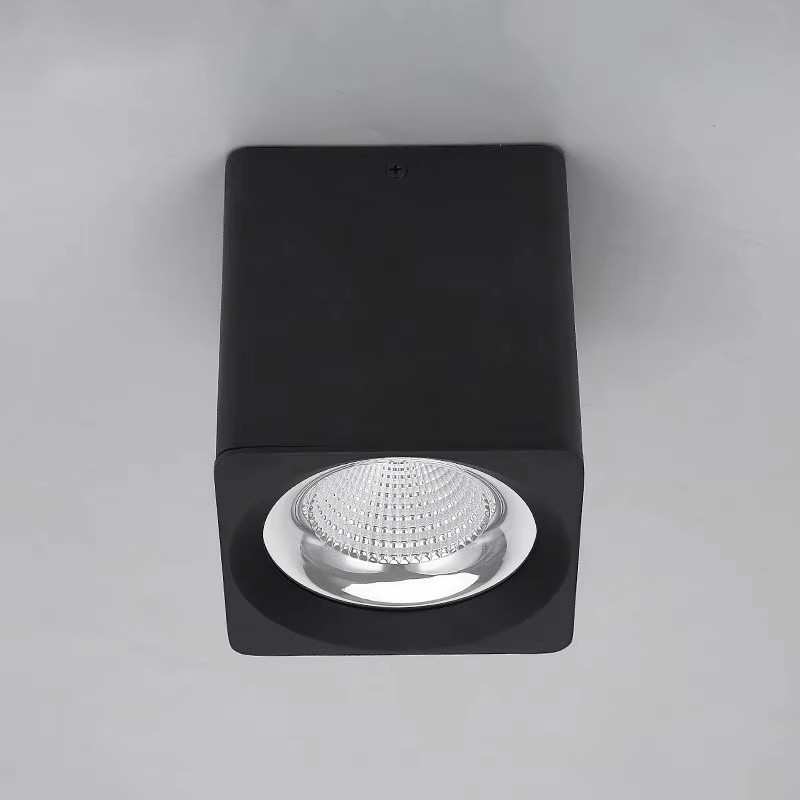 Surface Mounted Spotlights Ceiling Mounted Down Lights DL2310picture6