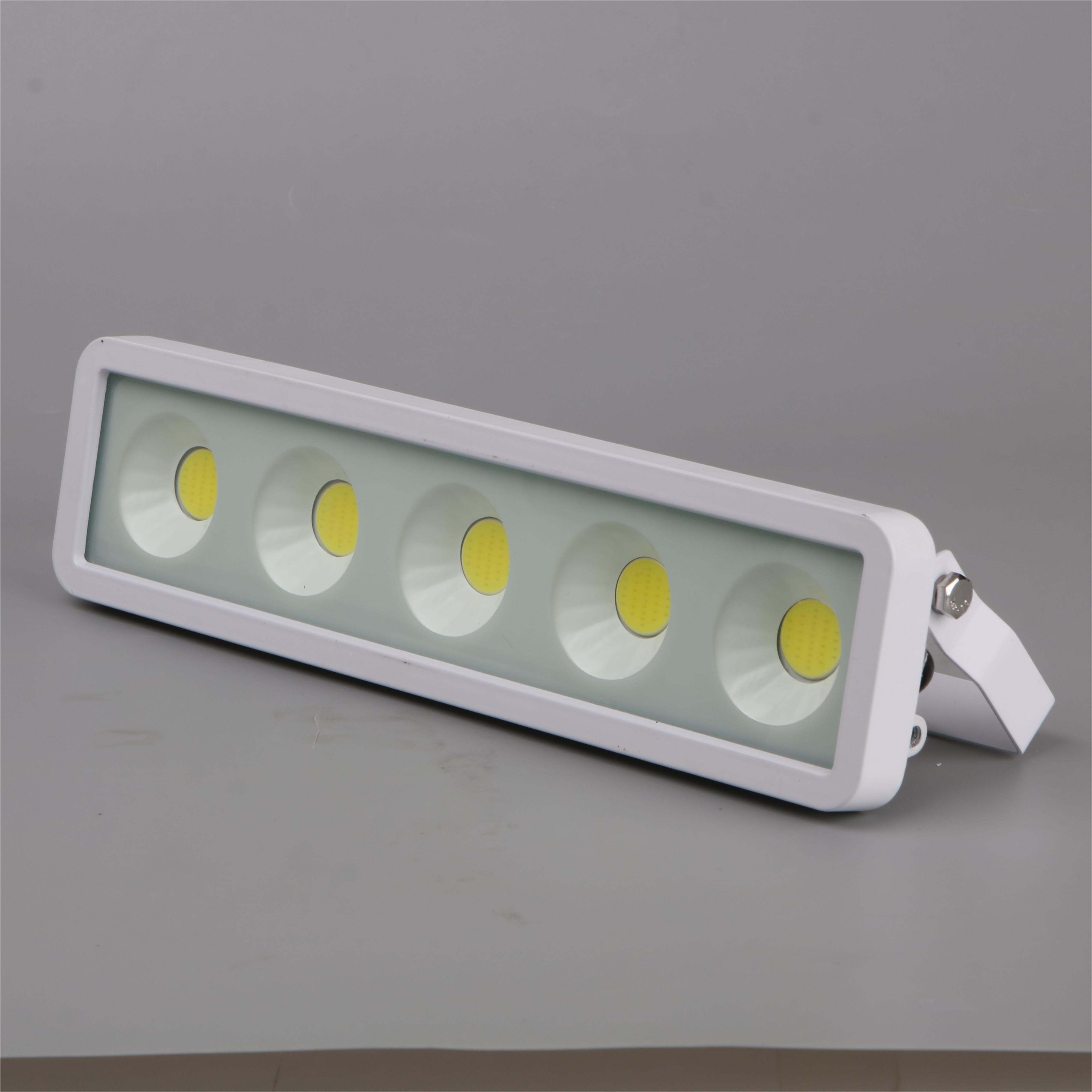 Exterior Plant Pathway Projector Lamp IP65 Waterproof Backyard COB Flood Light FL2080picture6