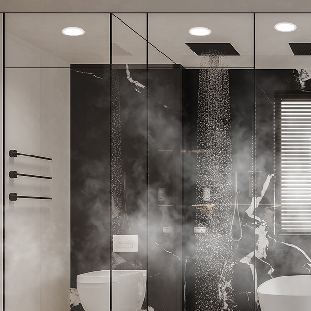 Commercial Waterproof COB 15W Recessed Round Dimmable Ceiling Downlight DL2250picture5