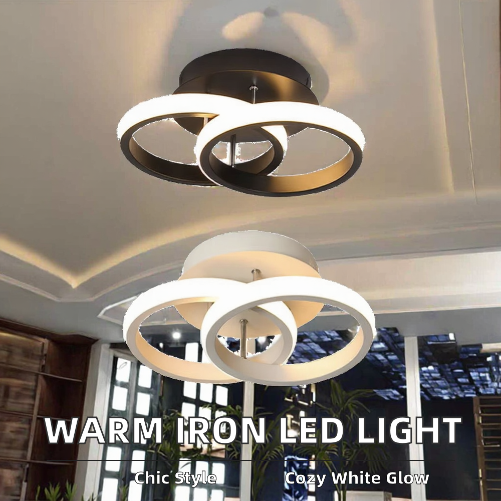 Modern 30W Surface Mounted LED Ceiling Light CL1070picture2