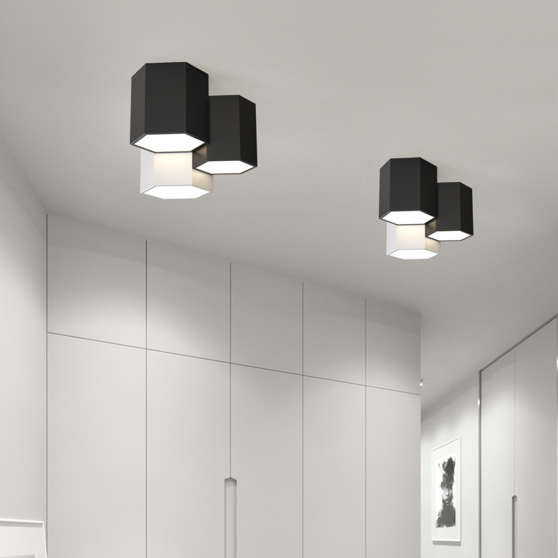 Bedroom Aisle Living Room Dining Room LED Modern Ceiling Light CL1050picture4