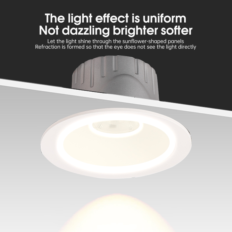 Customized Size and Color Scheme LED Downlight DL2200picture5