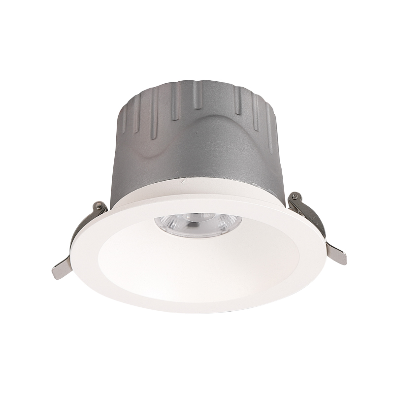 Customized Size and Color Scheme LED Downlight DL2200picture6