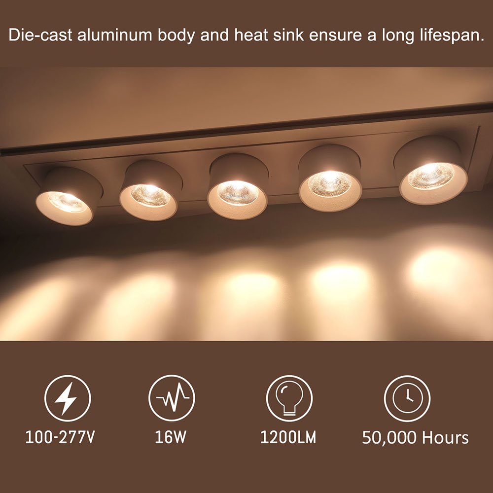 Modern 12W Telescopic Adjustable Angle Stretching Spotlight Downlight DL2180picture2