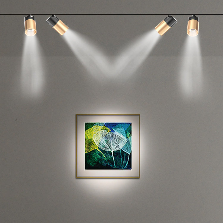 DC 24V 3W Diameter 15MM Mini Track Double Heads Spotlight Light TR1580picture3