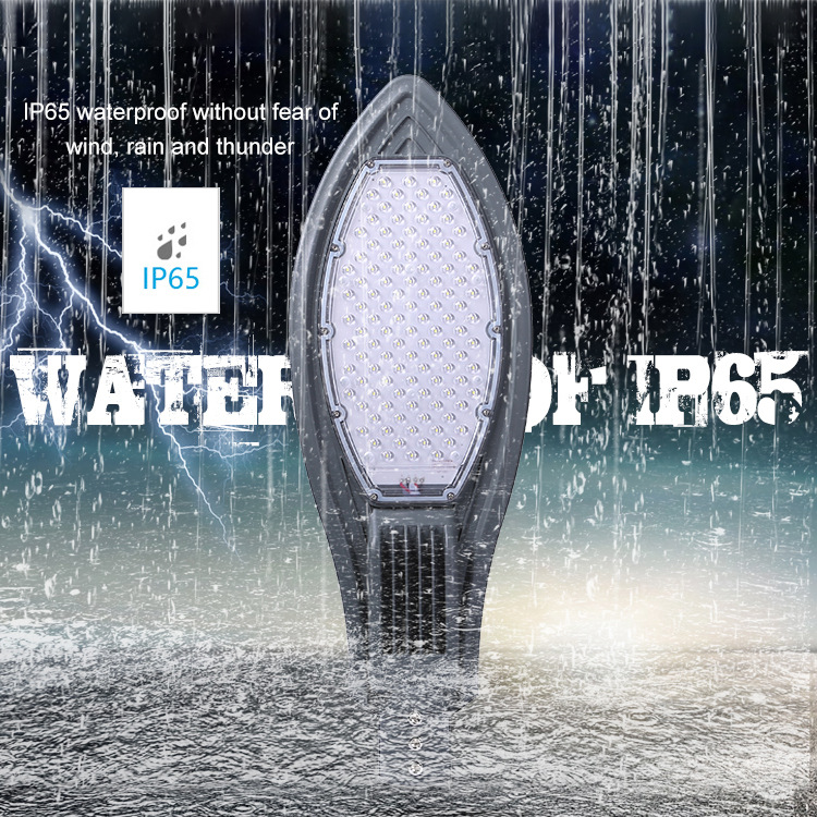 LED Patch Sword Street Light New Rural Municipal Outdoor Road Lighting STR860picture3