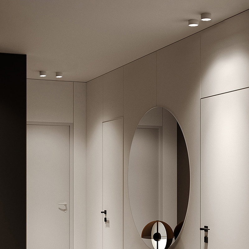 Surface Mount LED Downlight IP44 Aluminum for Home Office Indoor Ceiling Light DL2040picture5