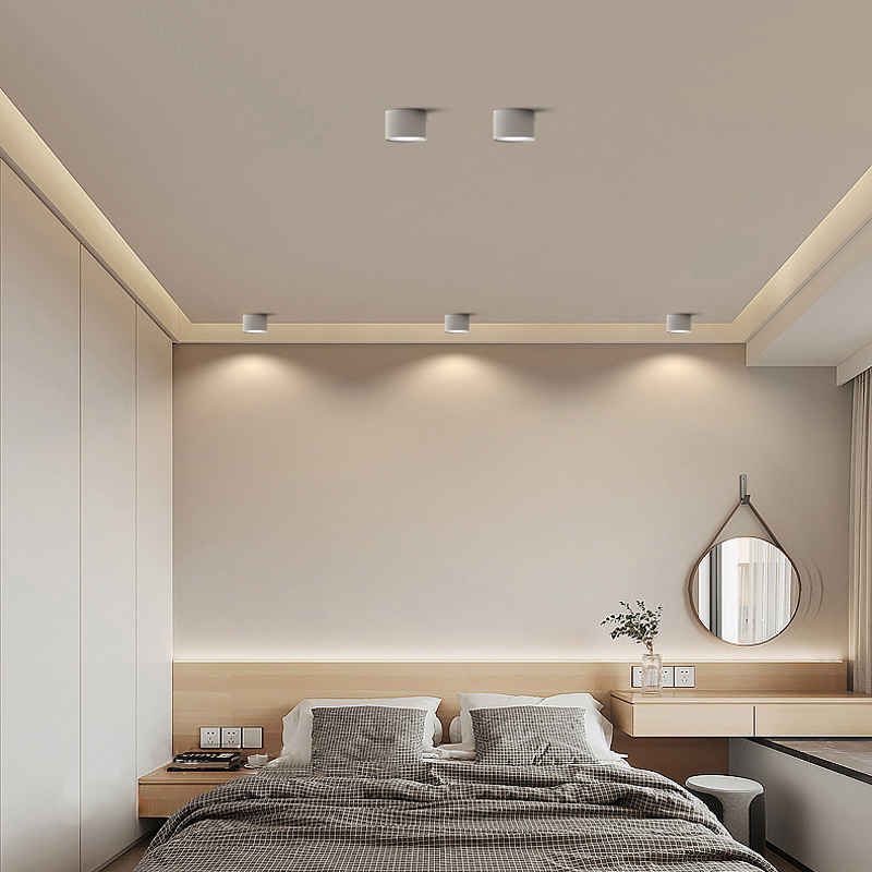 Surface Mount LED Downlight IP44 Aluminum for Home Office Indoor Ceiling Light DL2040picture6