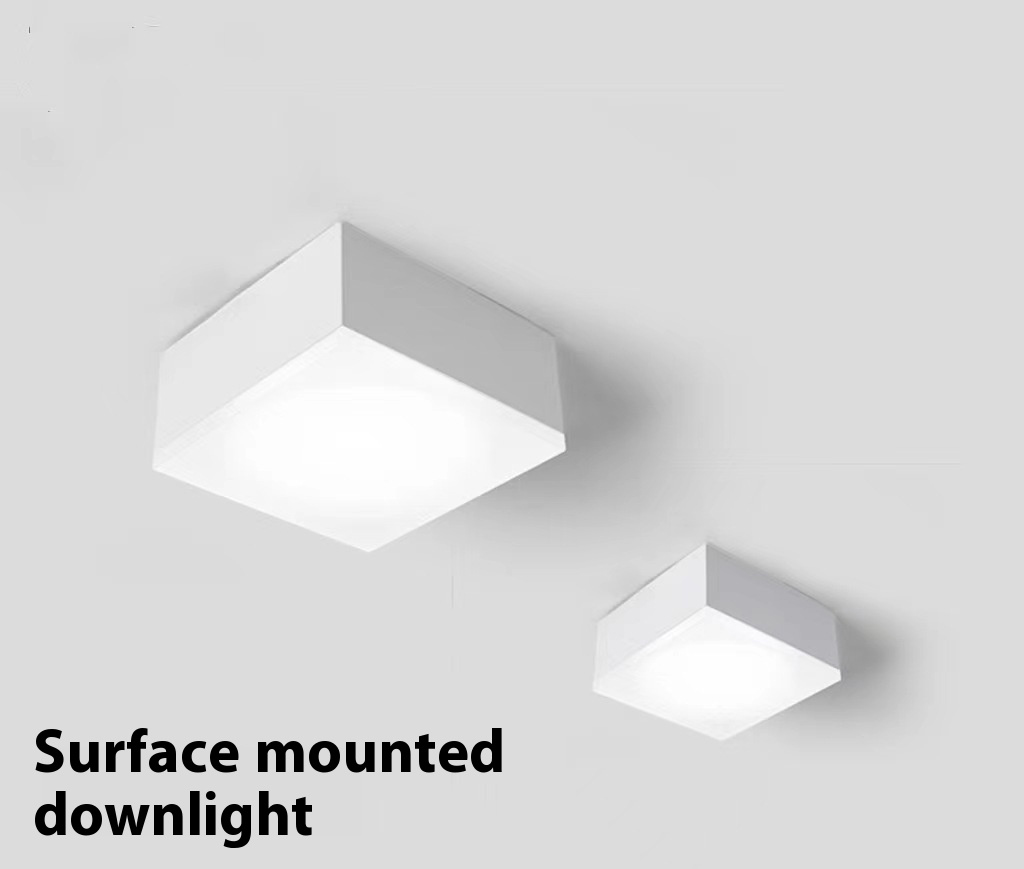 Aluminum square Surface Mounted Ceiling Light Downlight Spotlight for Indoor Light DL2010picture2