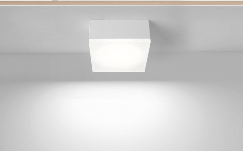 Aluminum square Surface Mounted Ceiling Light Downlight Spotlight for Indoor Light DL2010picture3