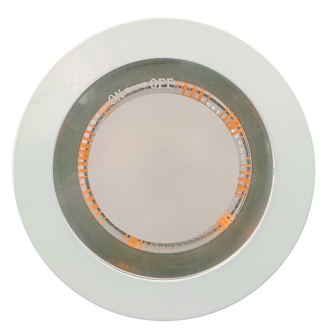 Downlight E27 Glass A60 DL1950picture3