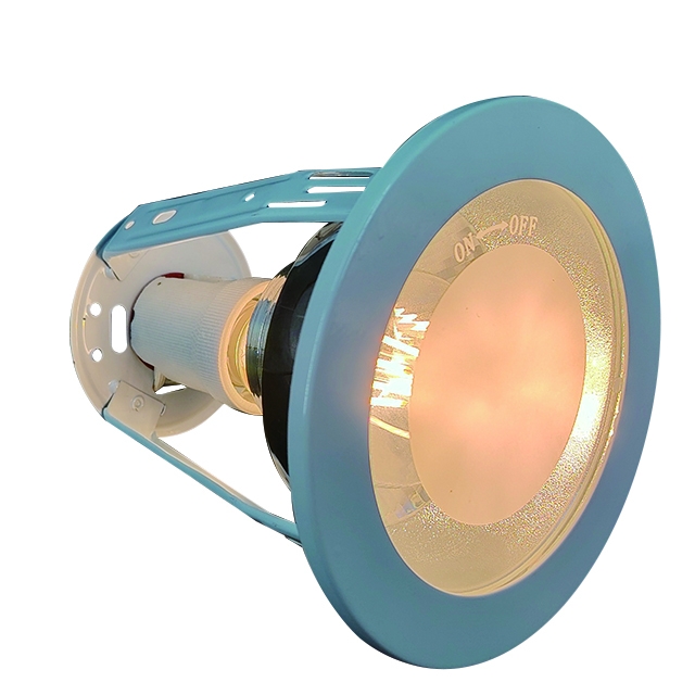 Downlight E27 Glass A60 DL1950picture4