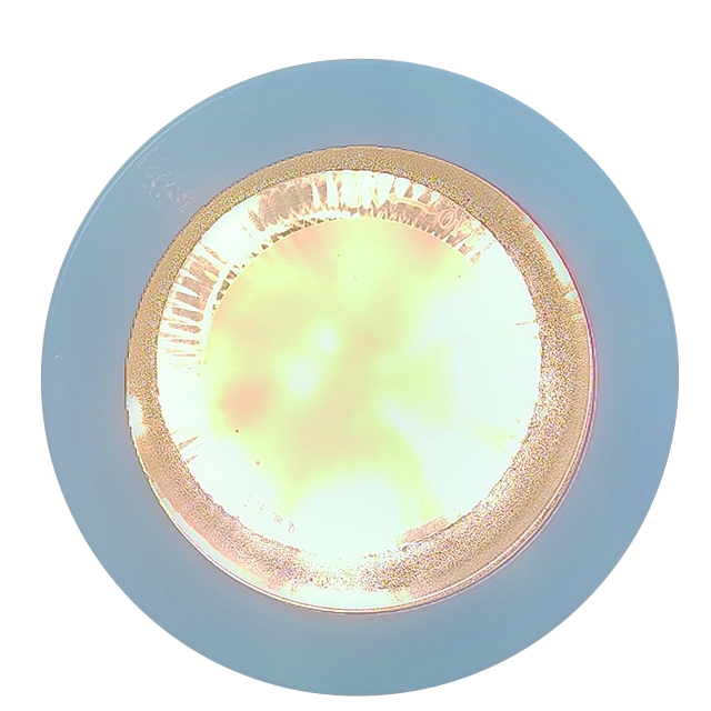Downlight E27 Glass A60 DL1950picture5