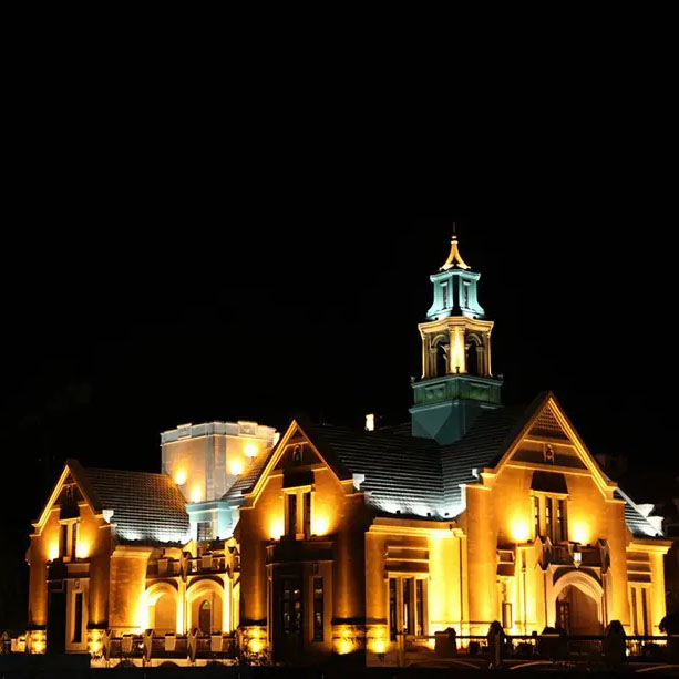 Customized Floor RGB Lights Outdoor Garden Building Spotlight LSP630picture6