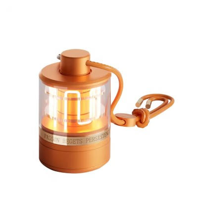 Customized Wireless Rechargeable Stepless Dimming LED Desk Lamp DTL3110picture1