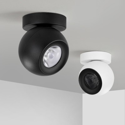 Bedroom Restaurant Clothing Store Adjustable Rotatable LED Downlight DL2350picture7